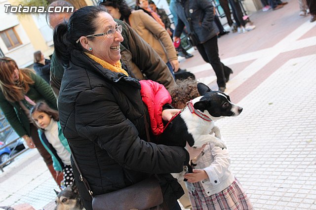 Bendicin animales San Antn 2015 - 121