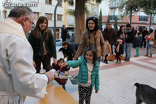 Bendicin animales San Antn 2015 - 123