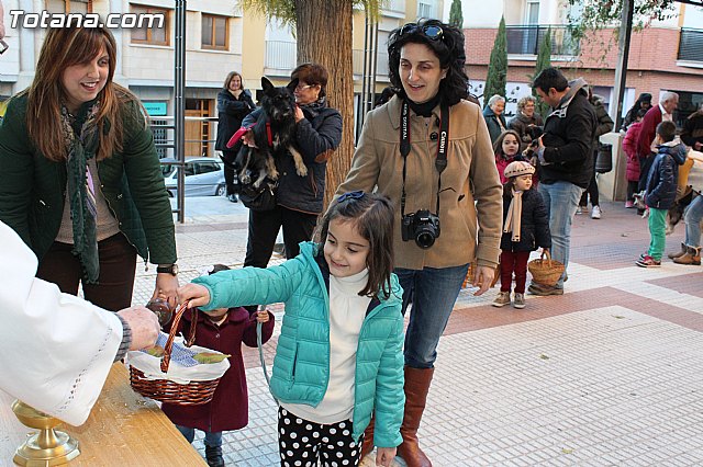 Bendicin animales San Antn 2015 - 124