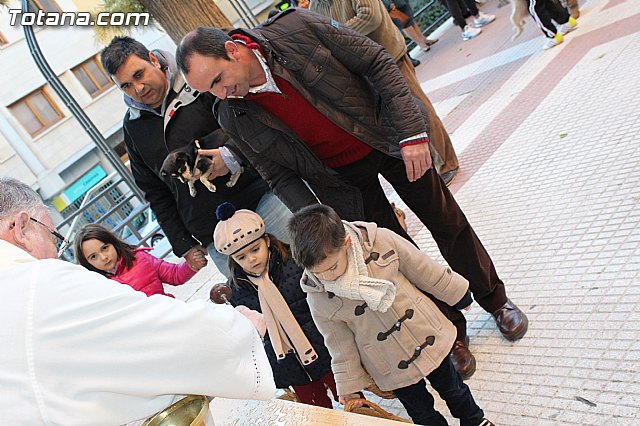 Bendicin animales San Antn 2015 - 127