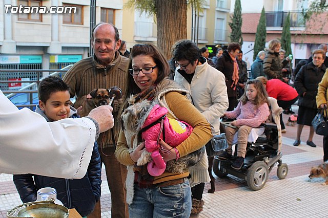 Bendicin animales San Antn 2015 - 129