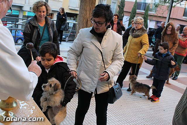 Bendicin animales San Antn 2015 - 131