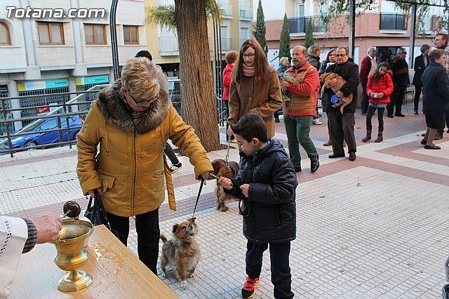 Bendicin animales San Antn 2015 - 133