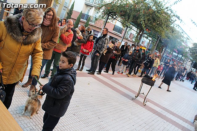 Bendicin animales San Antn 2015 - 134