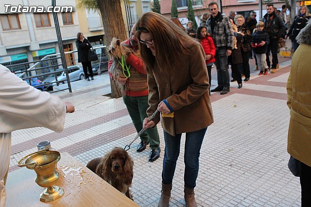 Bendicin animales San Antn 2015 - 135