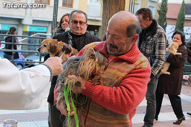 Bendicin animales San Antn 2015 - 136