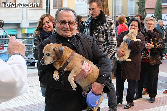 Bendicin animales San Antn 2015 - 137