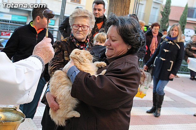 Bendicin animales San Antn 2015 - 140