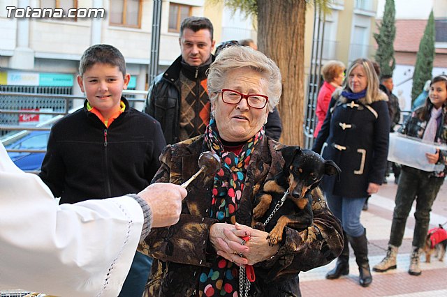 Bendicin animales San Antn 2015 - 141