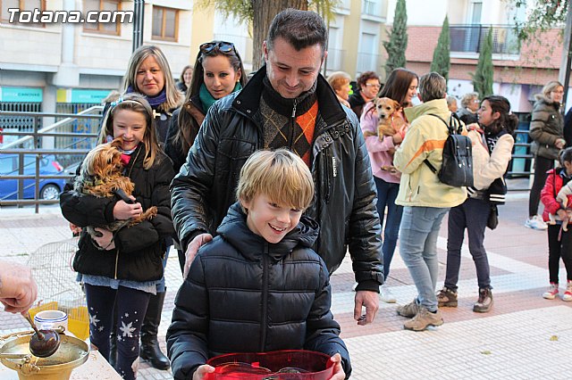 Bendicin animales San Antn 2015 - 143