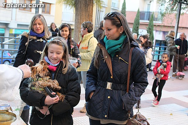 Bendicin animales San Antn 2015 - 144