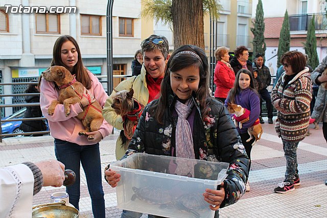 Bendicin animales San Antn 2015 - 146
