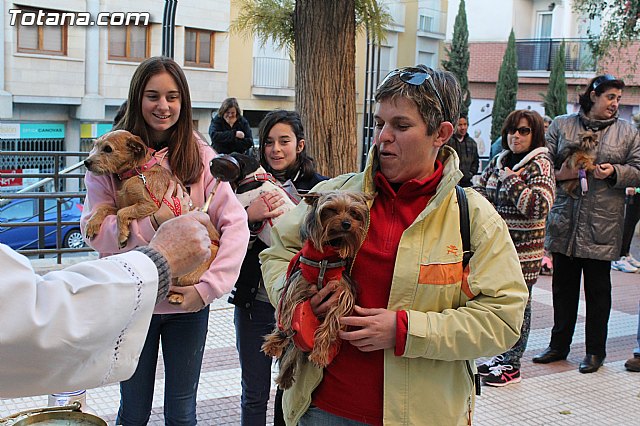 Bendicin animales San Antn 2015 - 147