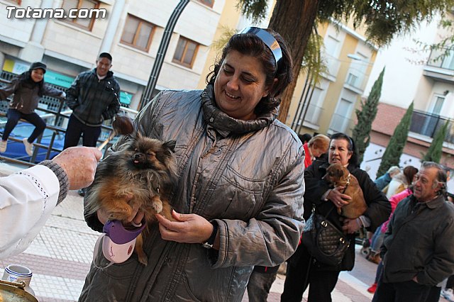 Bendicin animales San Antn 2015 - 152