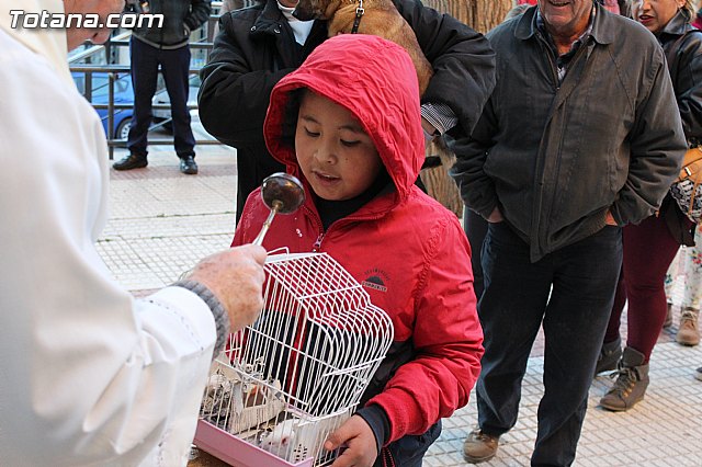 Bendicin animales San Antn 2015 - 154