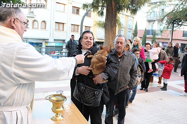 Bendicin animales San Antn 2015 - 156