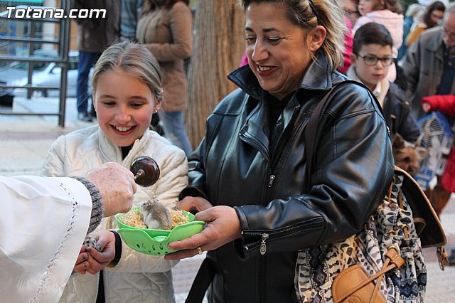 Bendicin animales San Antn 2015 - 157