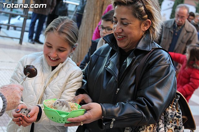 Bendicin animales San Antn 2015 - 158