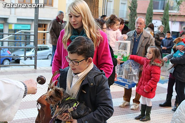 Bendicin animales San Antn 2015 - 159