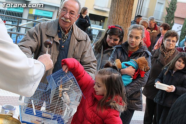 Bendicin animales San Antn 2015 - 161