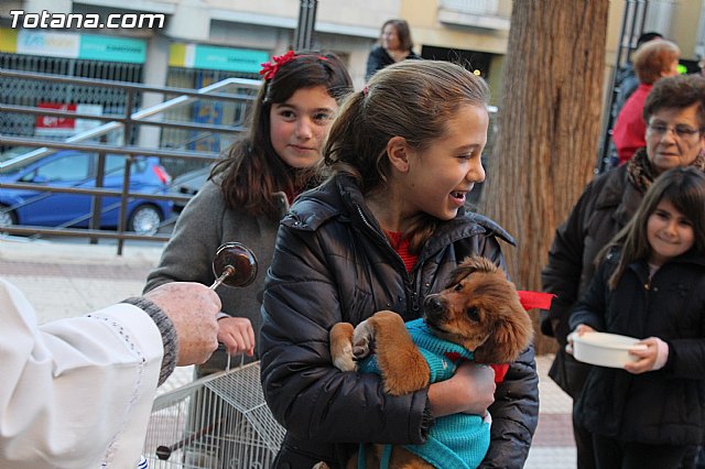 Bendicin animales San Antn 2015 - 162