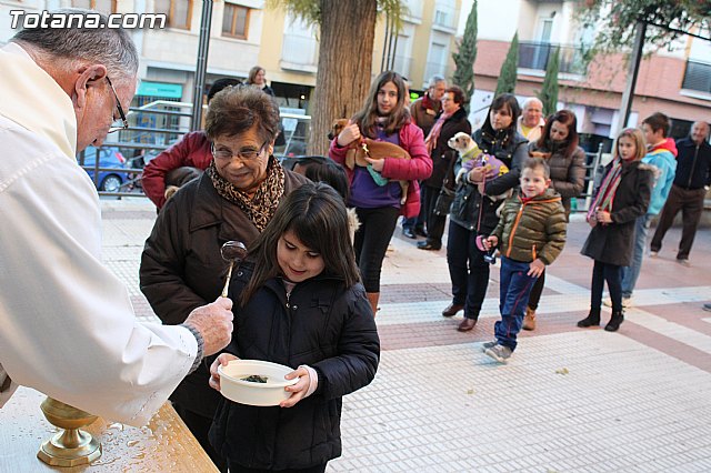 Bendicin animales San Antn 2015 - 164