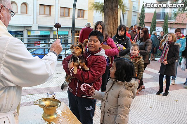 Bendicin animales San Antn 2015 - 165