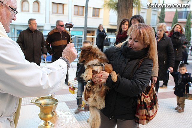 Bendicin animales San Antn 2015 - 174