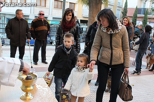 Bendicin animales San Antn 2015 - 175