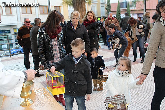 Bendicin animales San Antn 2015 - 177