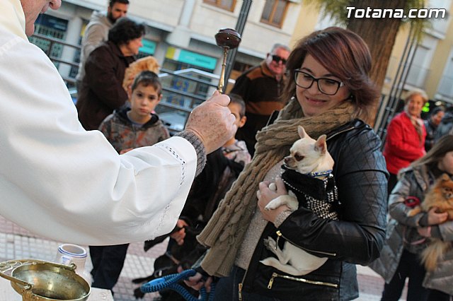 Bendicin animales San Antn 2015 - 183