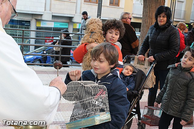 Bendicin animales San Antn 2015 - 187