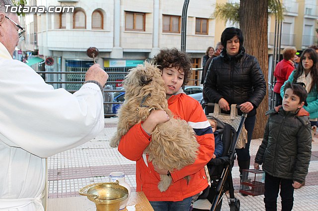 Bendicin animales San Antn 2015 - 188