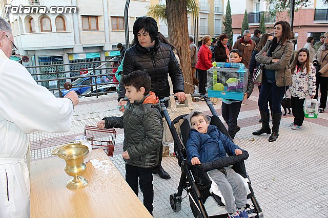 Bendicin animales San Antn 2015 - 189