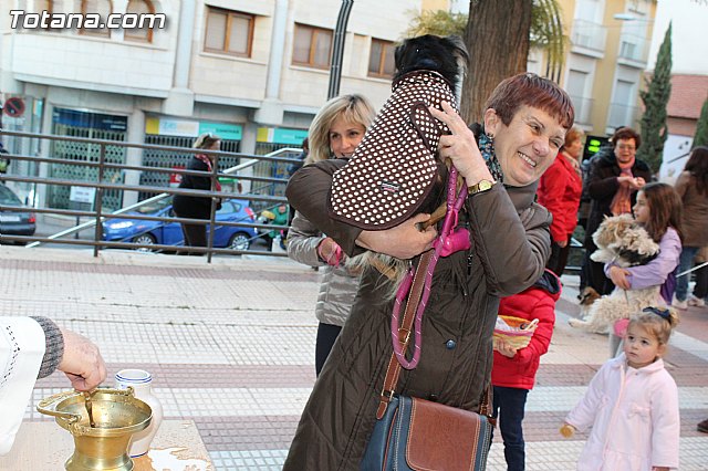 Bendicin animales San Antn 2015 - 194