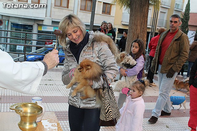 Bendicin animales San Antn 2015 - 195