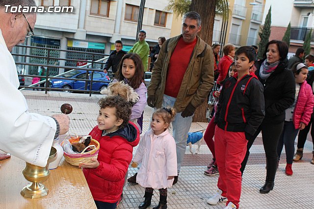 Bendicin animales San Antn 2015 - 196