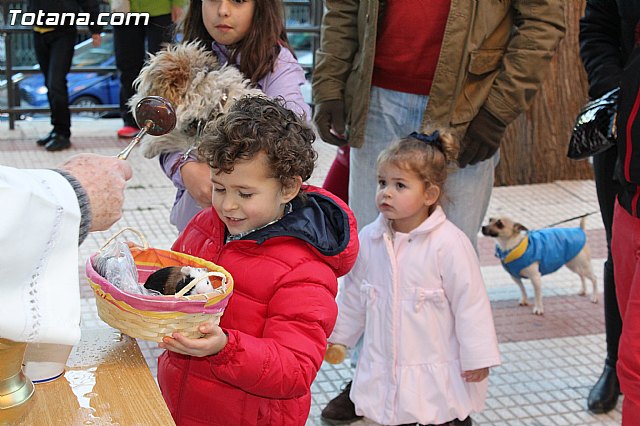 Bendicin animales San Antn 2015 - 197