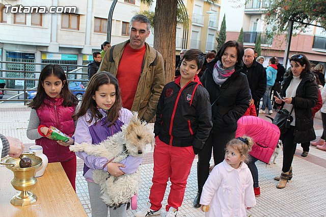 Bendicin animales San Antn 2015 - 198