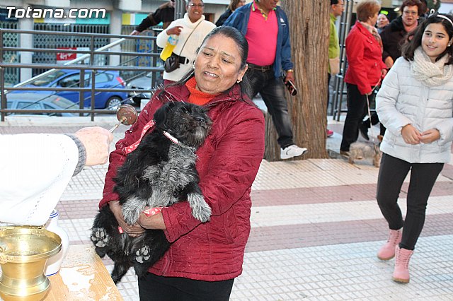 Bendicin animales San Antn 2015 - 202