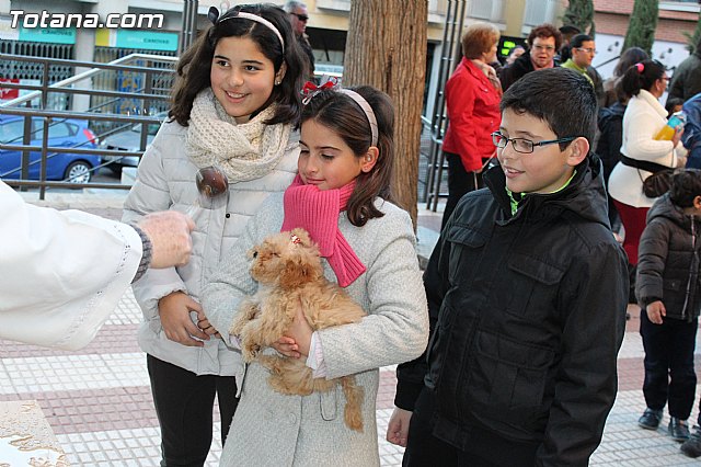 Bendicin animales San Antn 2015 - 203