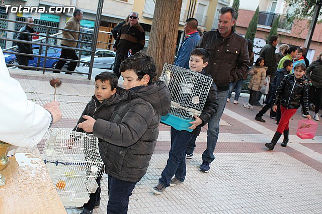 Bendicin animales San Antn 2015 - 204