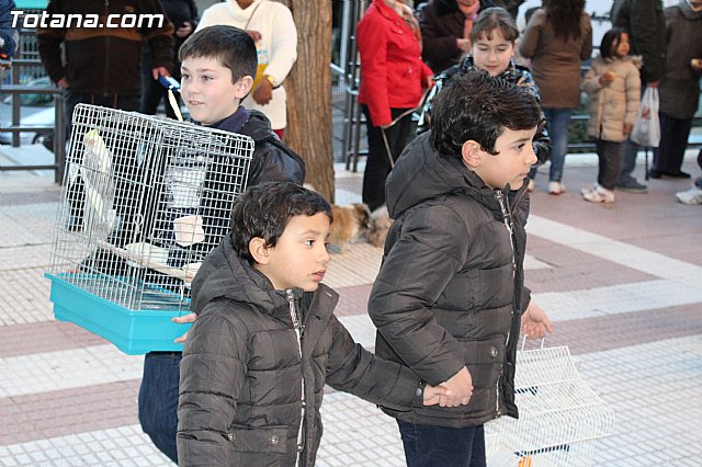 Bendicin animales San Antn 2015 - 205