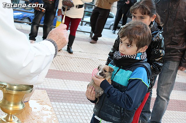 Bendicin animales San Antn 2015 - 207