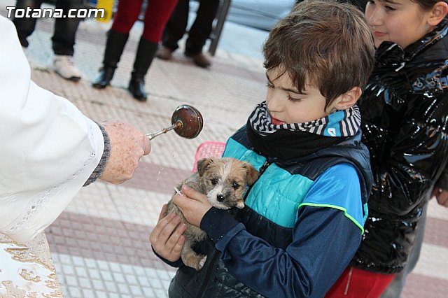 Bendicin animales San Antn 2015 - 208