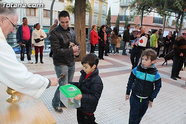 Bendicin animales San Antn 2015 - 211