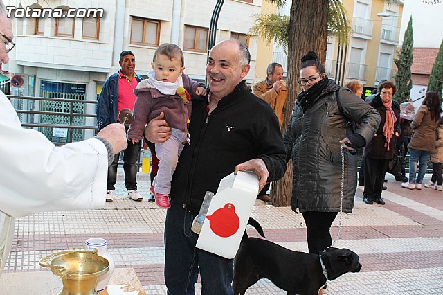 Bendicin animales San Antn 2015 - 212