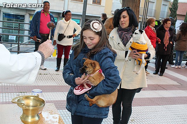 Bendicin animales San Antn 2015 - 215