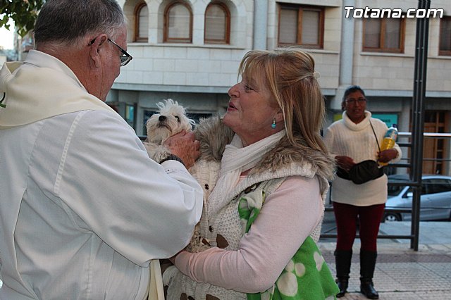 Bendicin animales San Antn 2015 - 217