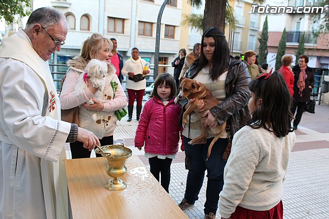 Bendicin animales San Antn 2015 - 218